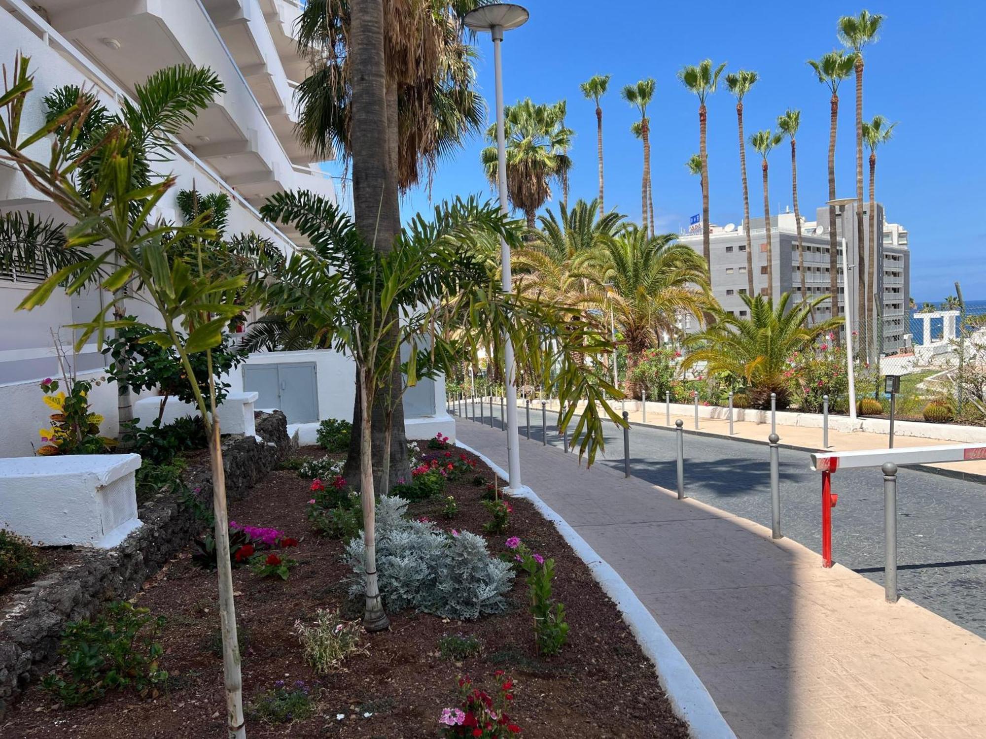 Tenerife Sea View 216 Playa Feñabe 외부 사진